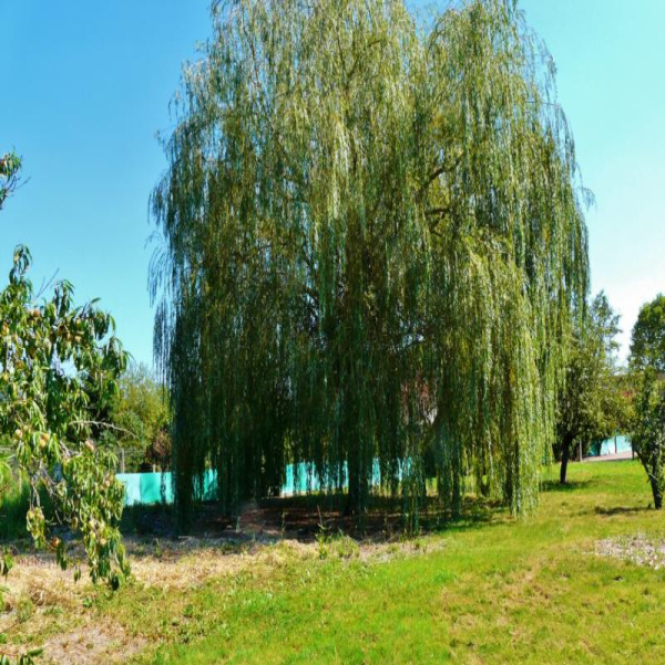 Offres de vente Terrain Lapalisse 03120